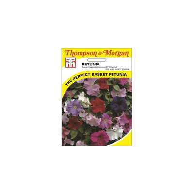Petunia Super Cascade Improved Mixed F1 Hybrid Seeds