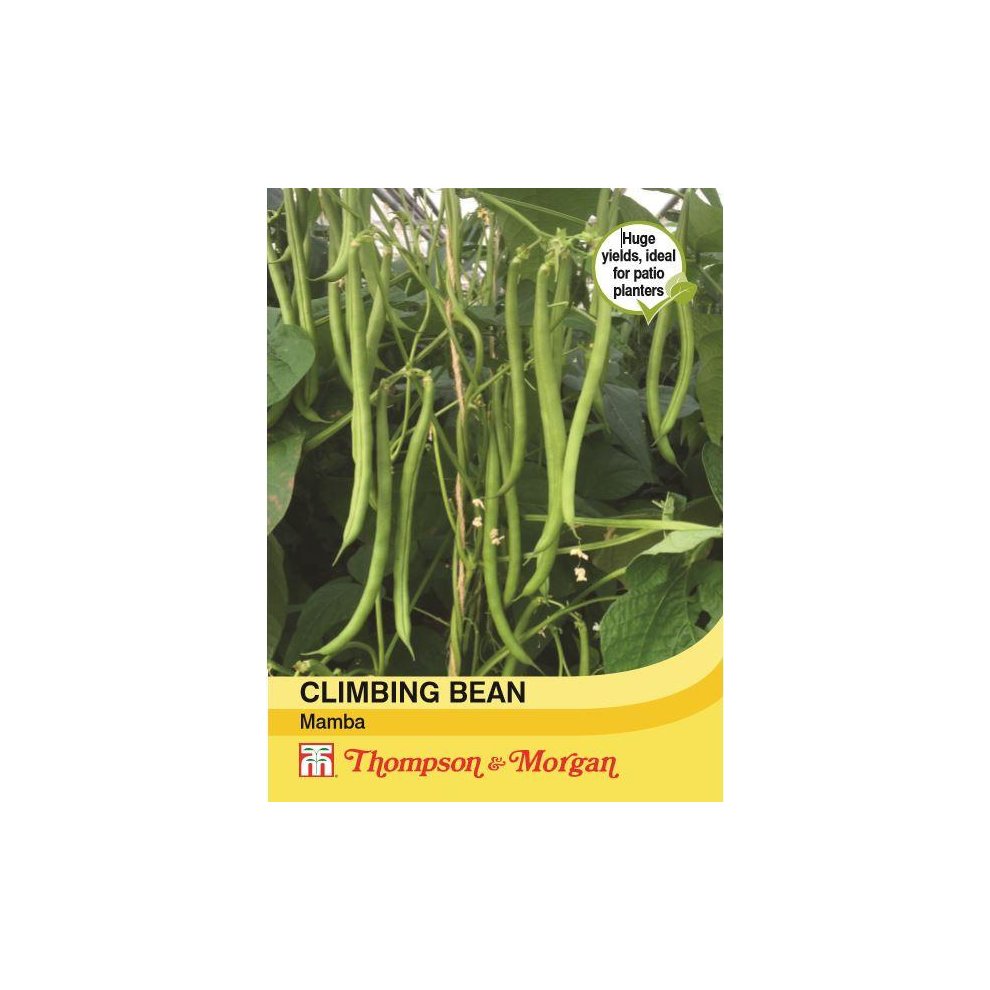 Thompson & Morgan Climbing Bean Mamba Seeds 45