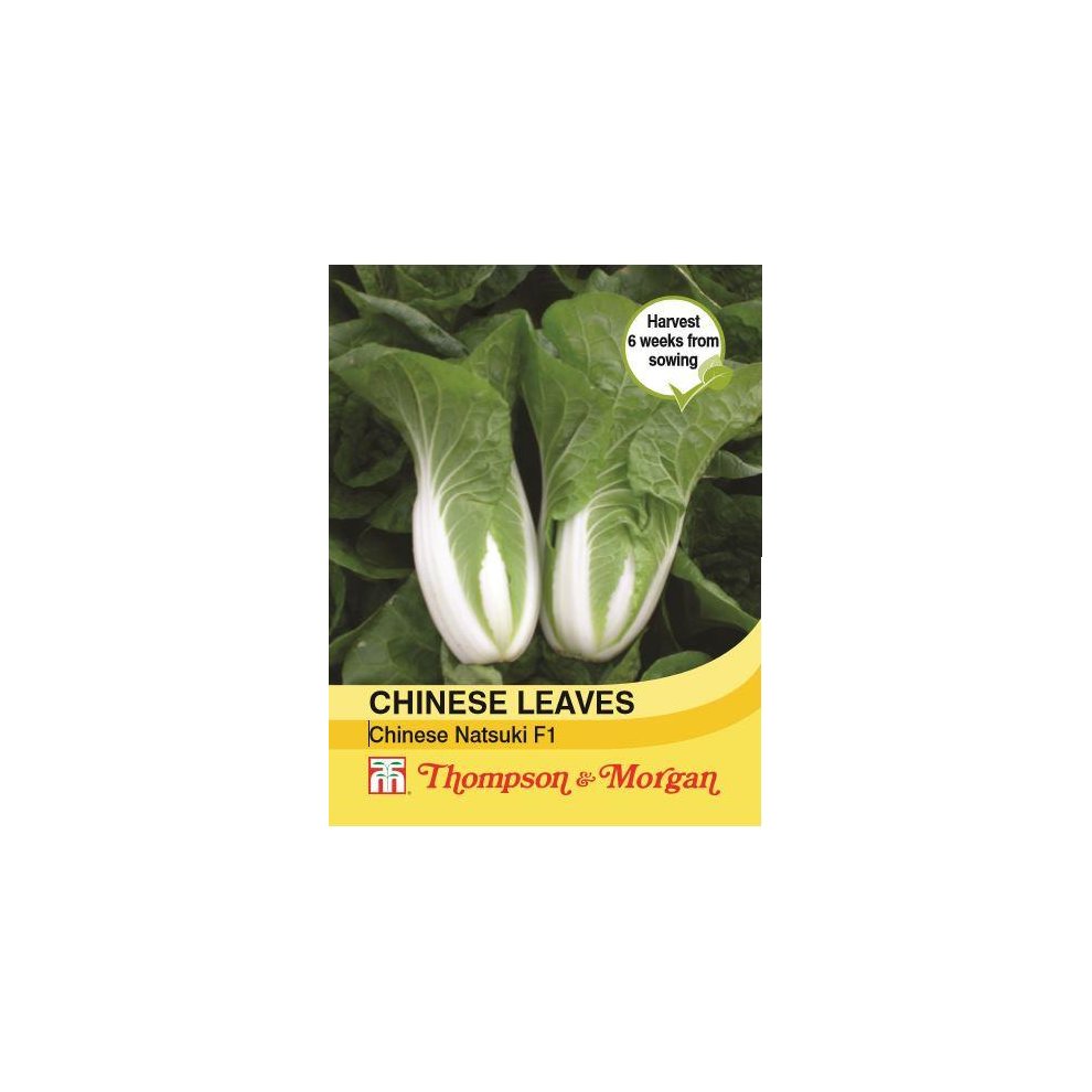 Thompson & Morgan Cabbage Chinese Natsuki F1 Hybrid Seeds 30
