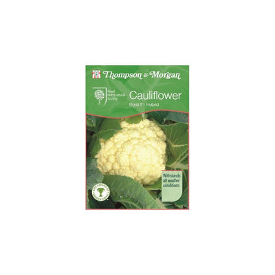 Thompson & Morgan Cauliflower Boris F1 Hybrid Seeds 25