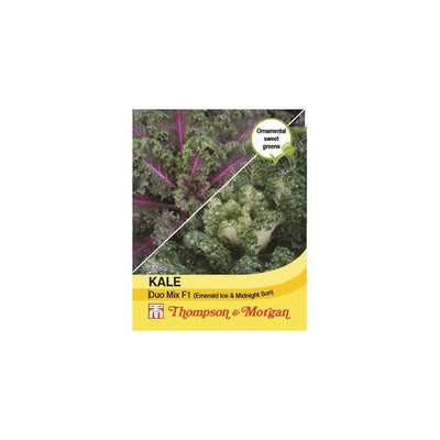 Kale Duo Mix Emerald Ice Midnight Sun Seeds 20pce