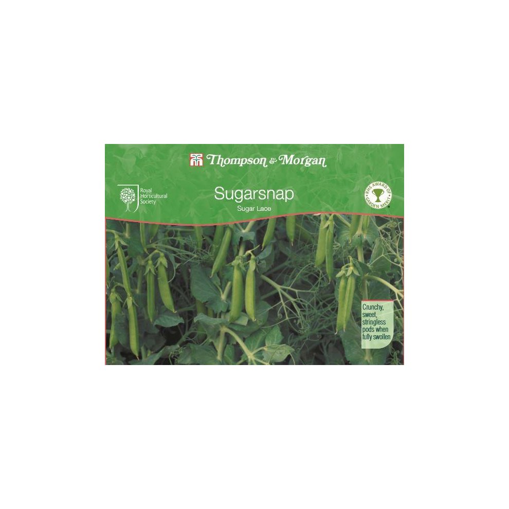 Thompson & Morgan Mangetout Sugar Lace Seeds 150
