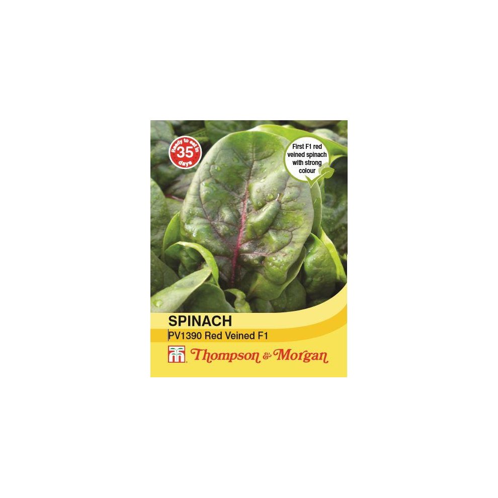Thompson & Morgan Spinach Red Veined Seeds 500