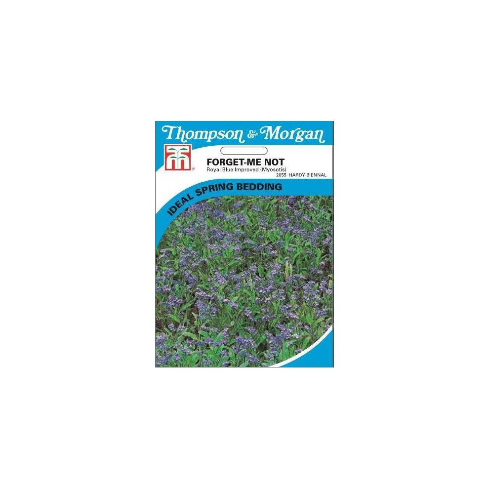 Forget-Me-Not Royal Blue Improved Seeds