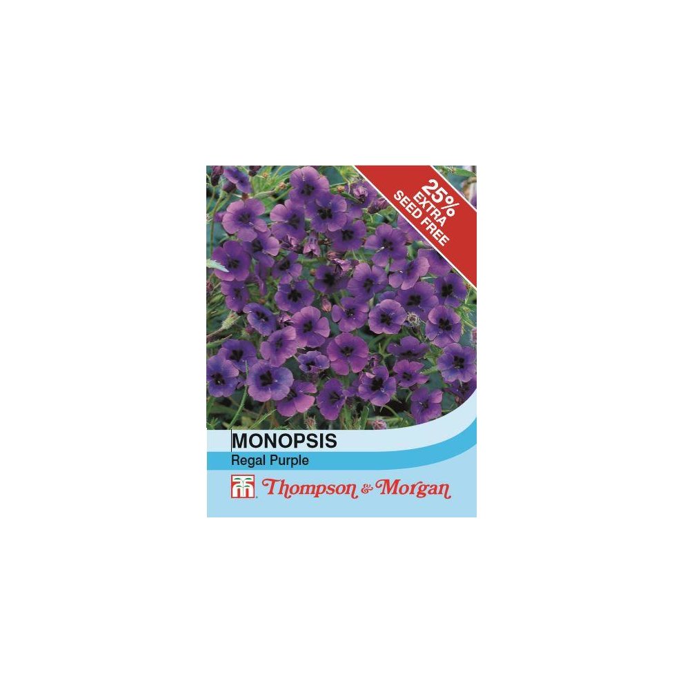 Thompson & Morgan Monopsis Regal Purple 125 Seeds