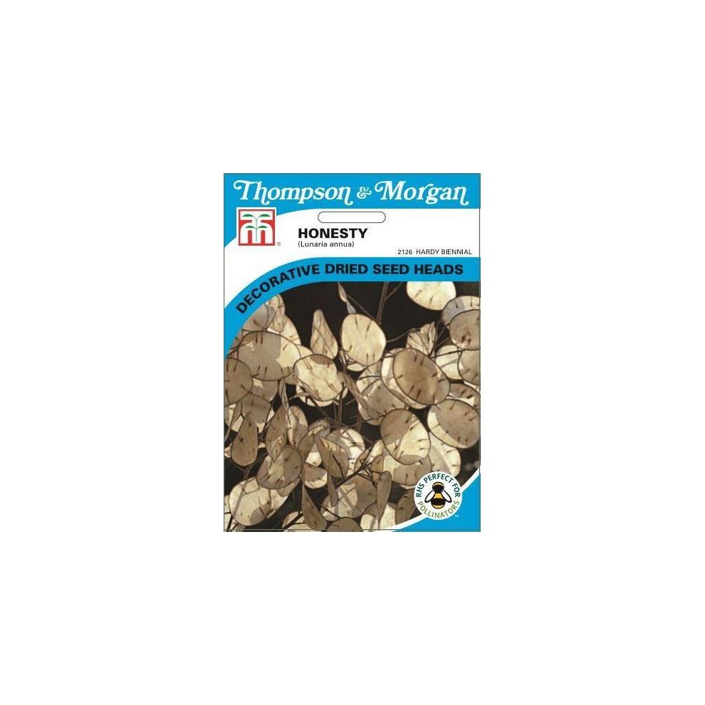 Honesty Lunaria Silver Dollar Seeds