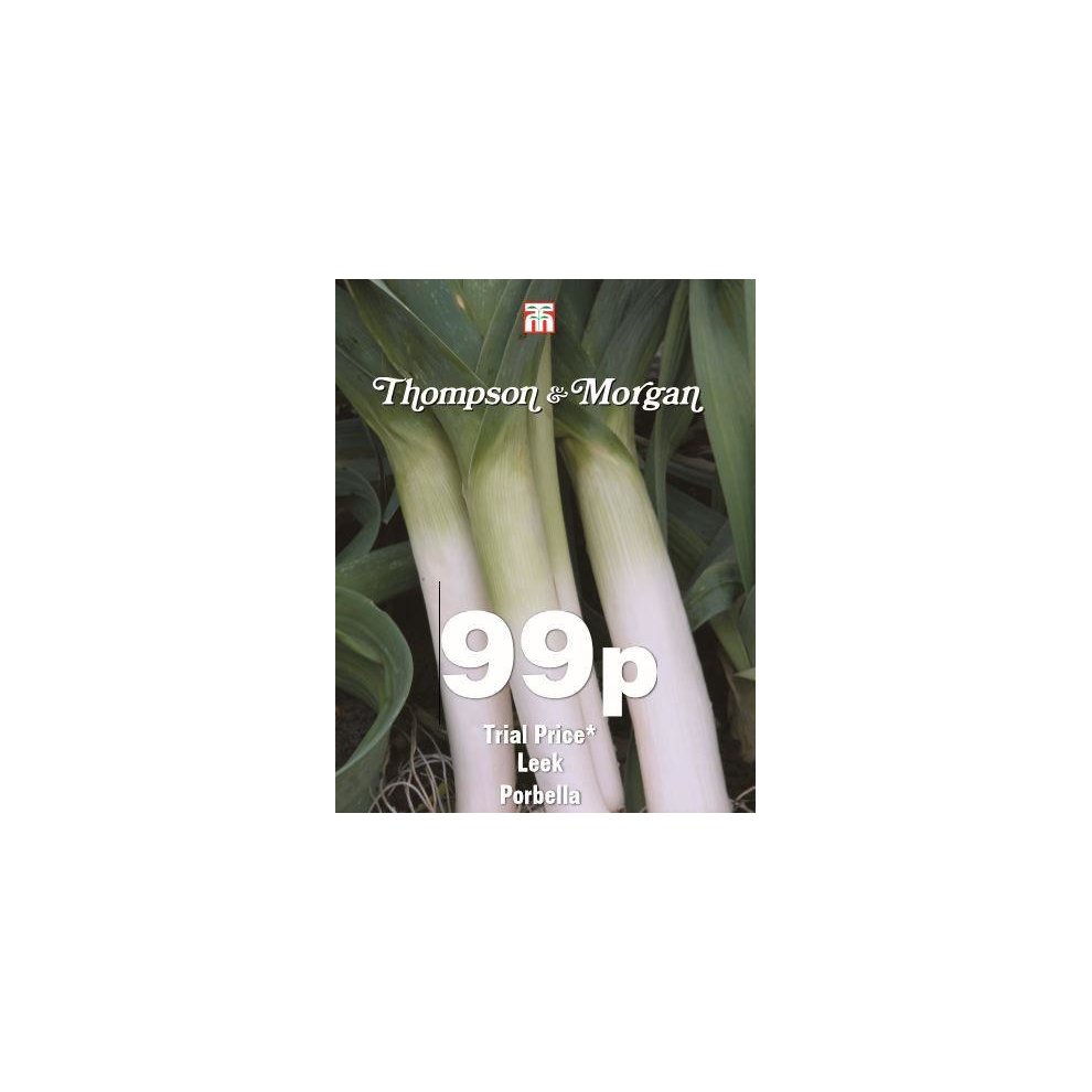 Thompson & Morgan Leek Porbella Seeds 50