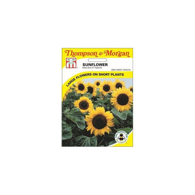 Sunflower Elite Sun F1 Hybrid Seeds