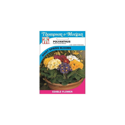 Polyanthus Pacific Giants Mixed Seeds
