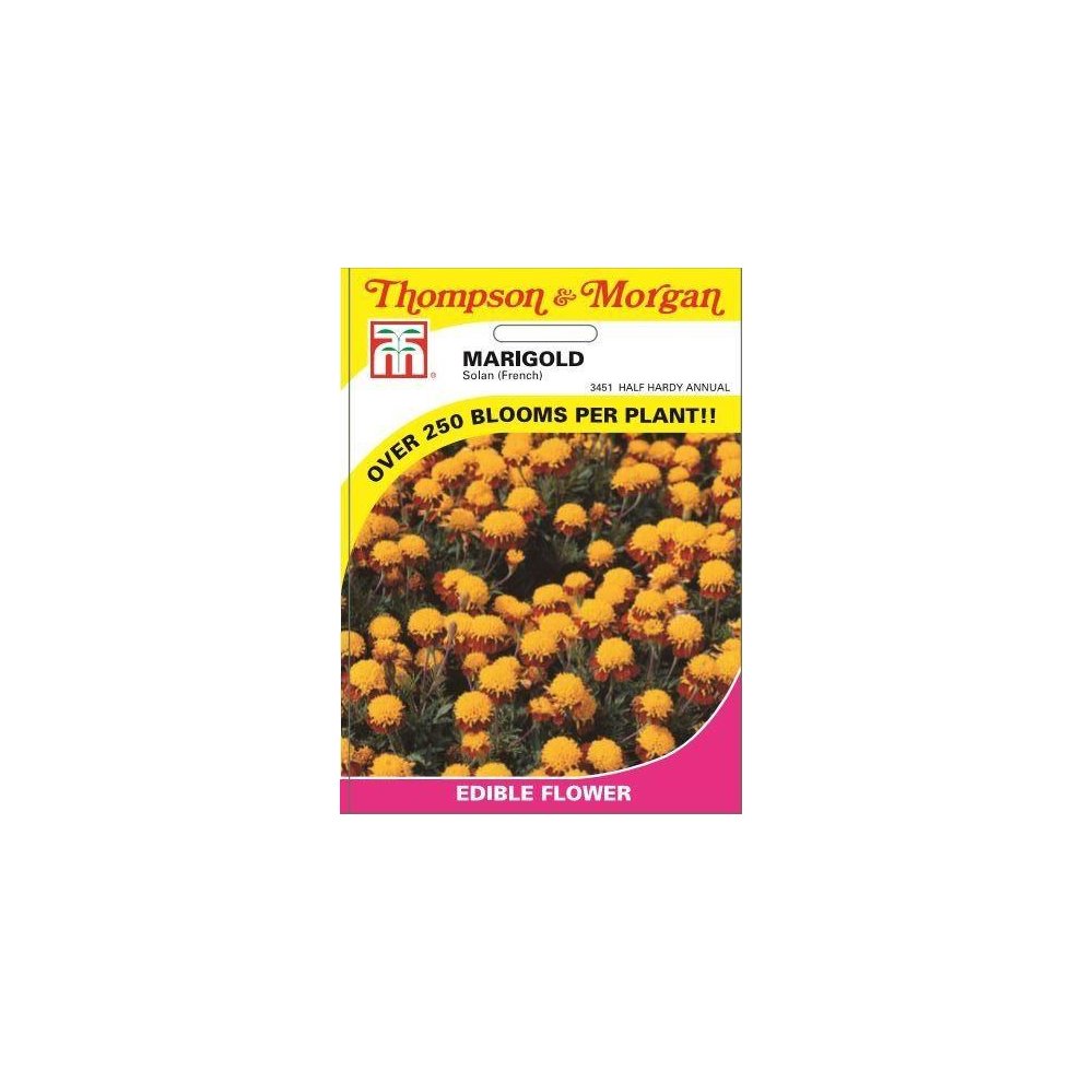 Marigold Solan French Seeds