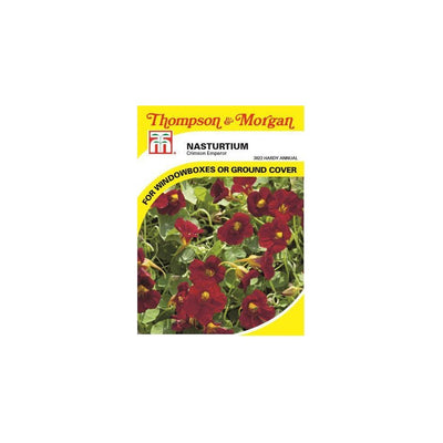Nasturtium Crimson Emperor Seeds
