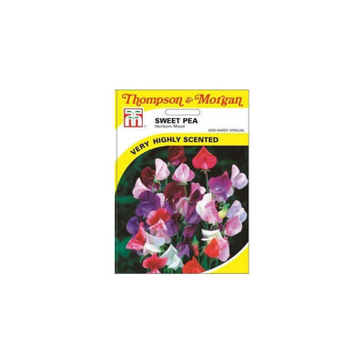 Sweet Pea Heirloom Mix Seeds