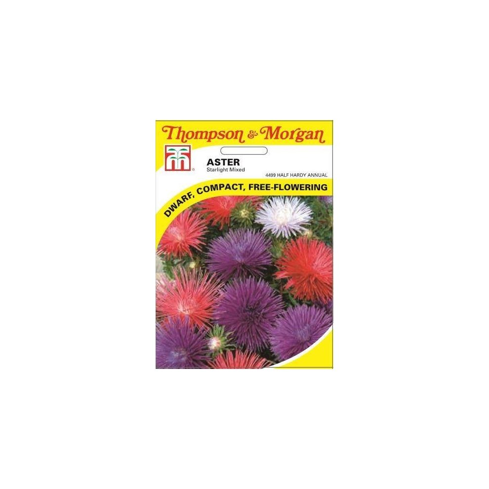 Aster Starlight Mixed Seeds