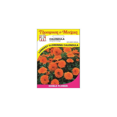 Calendula Candyman Orange Seeds