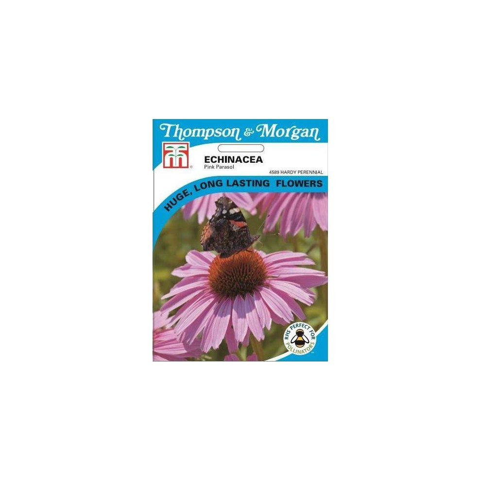 Thompson & Morgan - Flowers - Echinacea Pink Parasol - 35 Seed – Teign ...