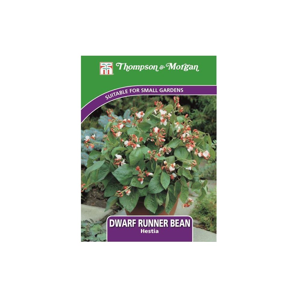 Dwarf Runner Bean Hestia Seeds