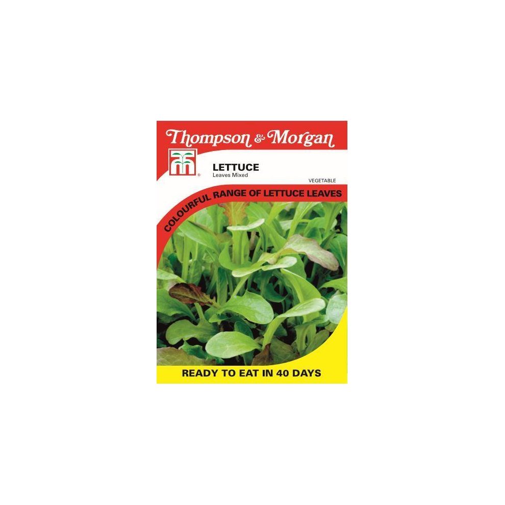 Thompson & Morgan - Vegetables - Lettuce Leaves Mixed - 400 Seed