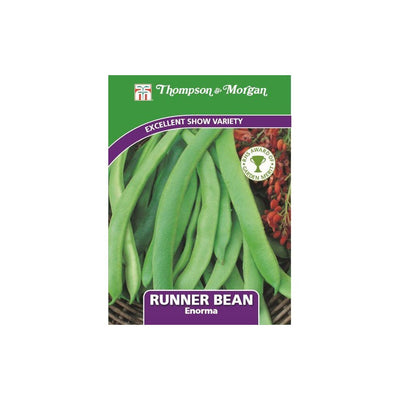 Runner Bean Enorma Seeds