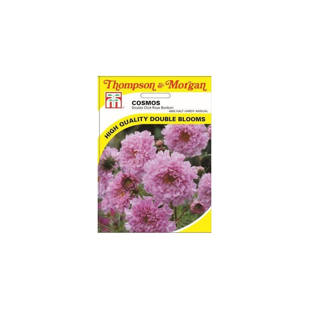 Cosmos Double Click Rose Bonbon Seeds