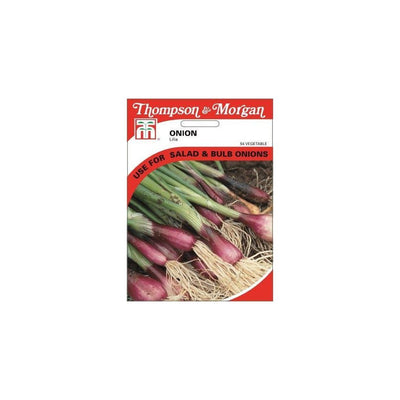 Spring Onion Lilia Seeds