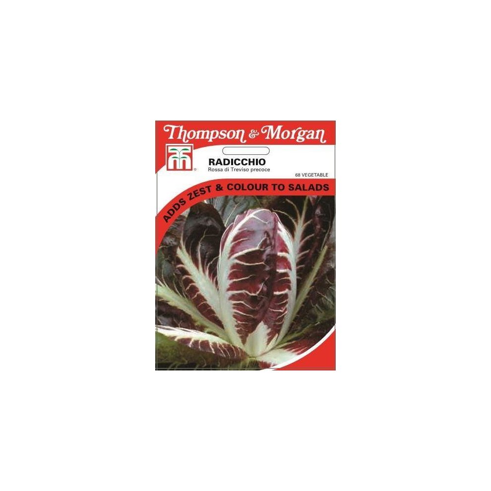 Radicchio Rossa Di Treviso Precoce Seeds
