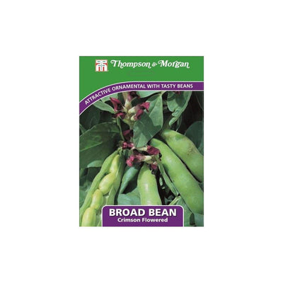 Broad Bean Crimson Flowered Seeds