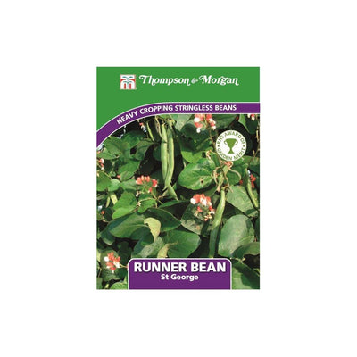 Runner Bean St George Seeds