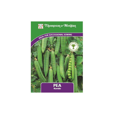 Pea Rondo Seeds