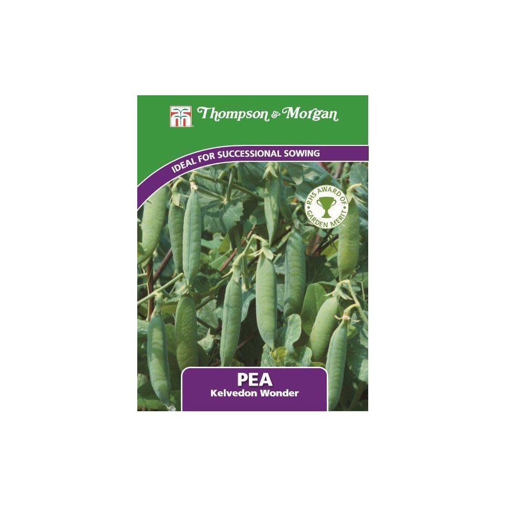 Pea Kelvedon Wonder Seeds