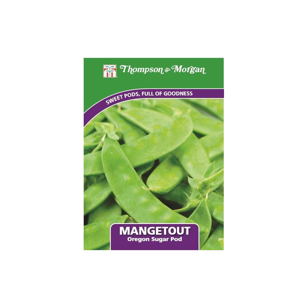 Mangetout Oregon Sugar Pod Seeds