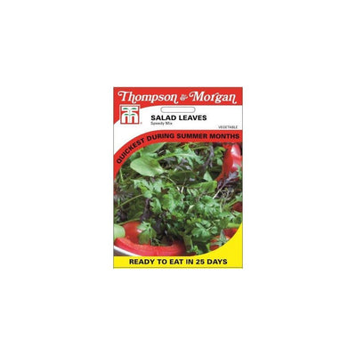 Salad Leaves Speedy Mix Seeds