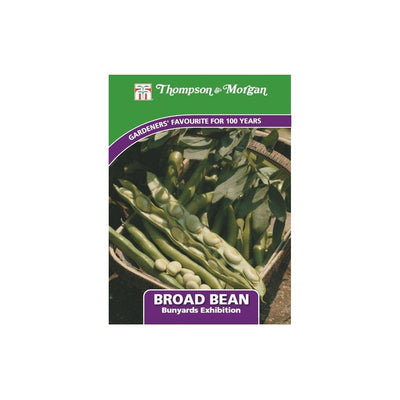 Broad Bean Bunyards Exhibition Seeds
