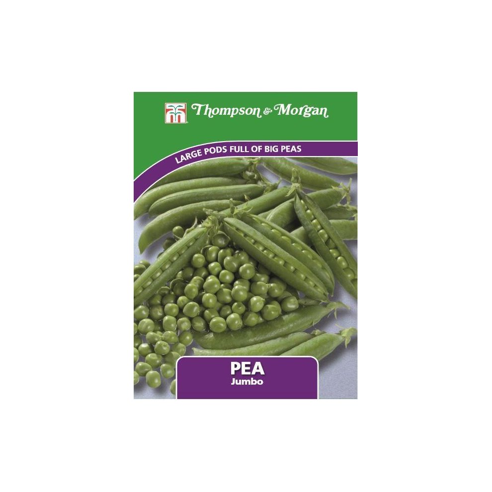 Thompson & Morgan - Vegetables - Pea Jumbo - 250 Seed