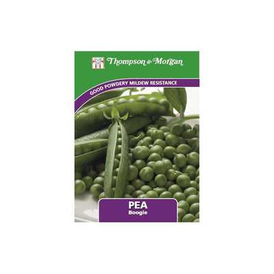 Pea Boogie Seeds