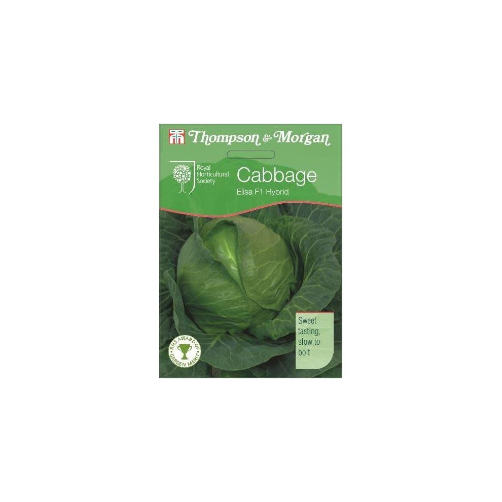 Cabbage Elisa F1 Hybrid Seeds