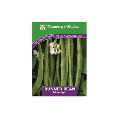 Runner Bean Moonlight Seeds