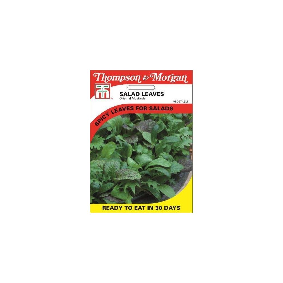 Salad Leaves Oriental Mustards Seeds