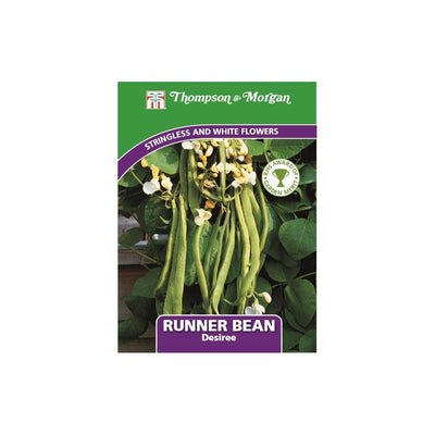 Runner Bean Desiree Seeds