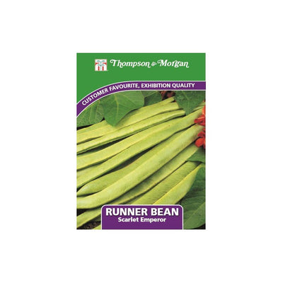 Runner Bean Scarlet Emperor Seeds