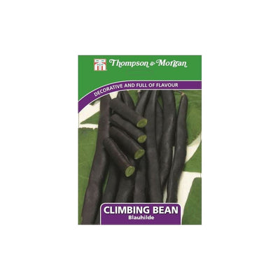 Climbing Bean Blauhilde Seeds