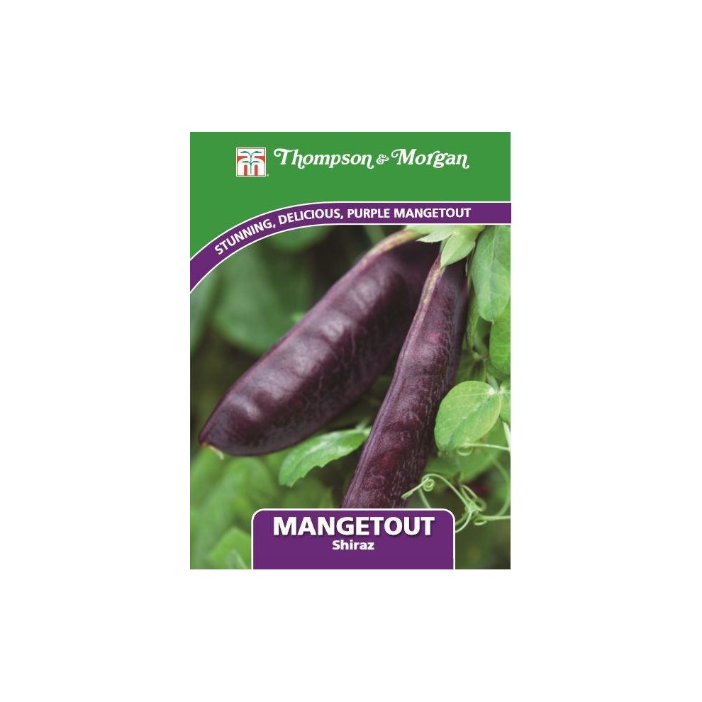 Thompson & Morgan - Vegetables - Mangetout Shiraz - 100 Seed