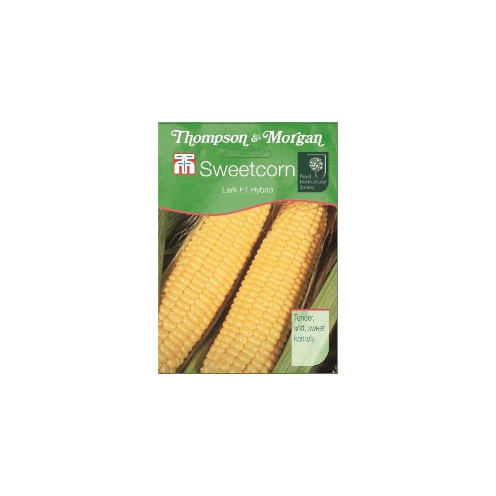 Sweetcorn Lark F1 Hybrid Seeds