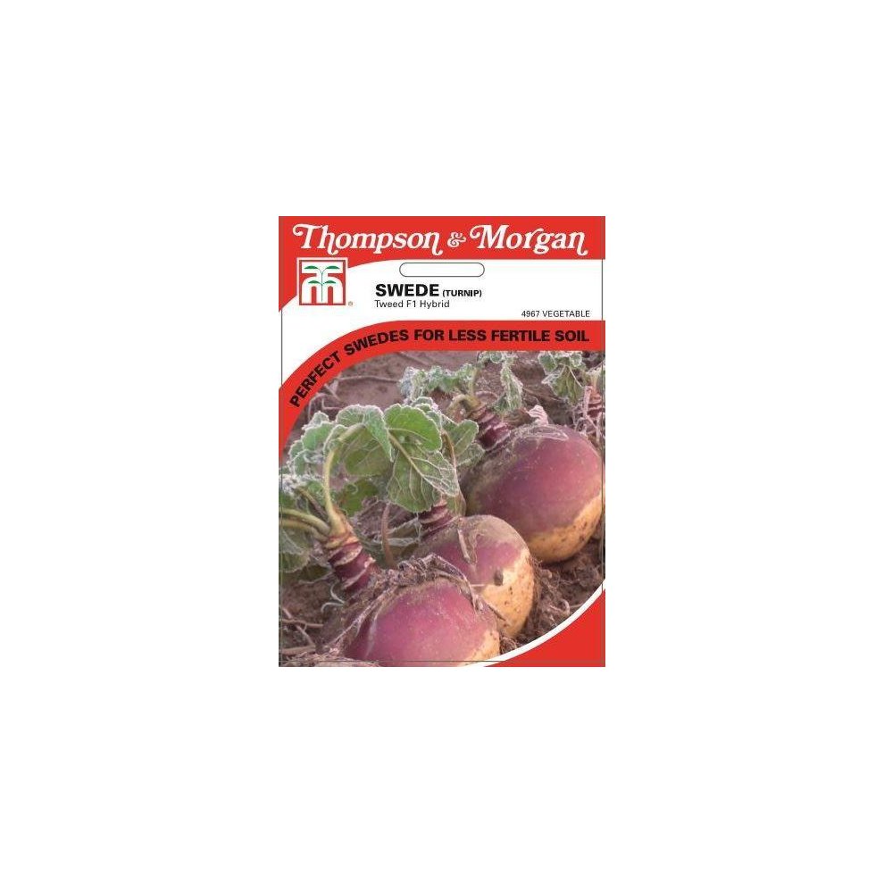 Swede Tweed Seeds