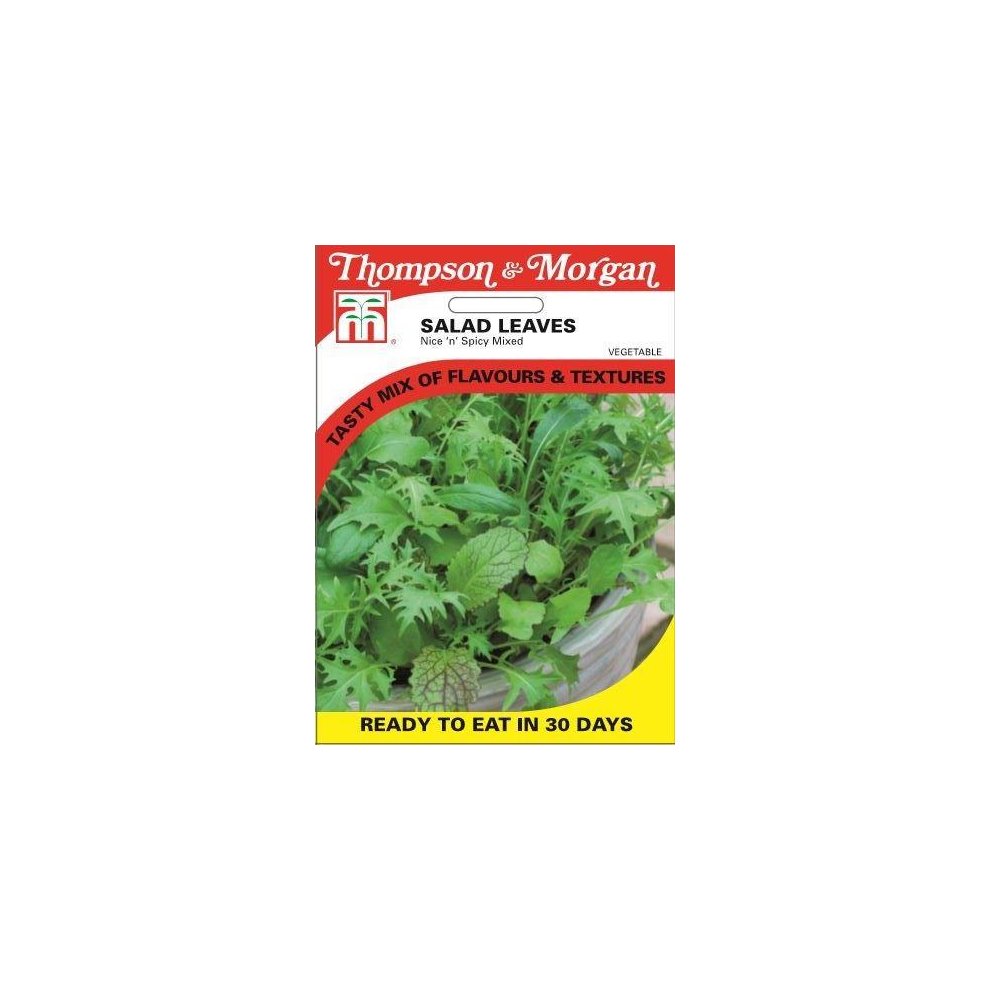Salad Leaves Nice n Spicy Mixed Seeds