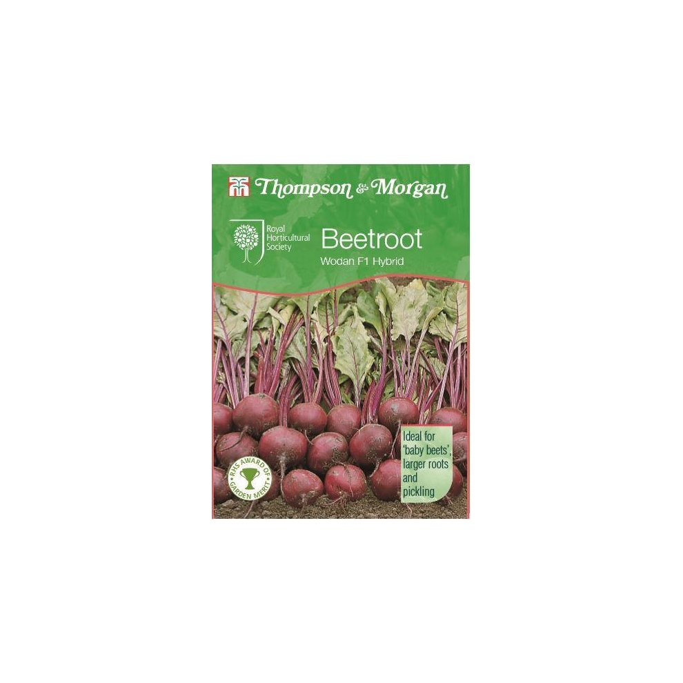 Thompson & Morgan - RHS Vegetables - Beet Wodan F1 - 200 Seed – Teign ...