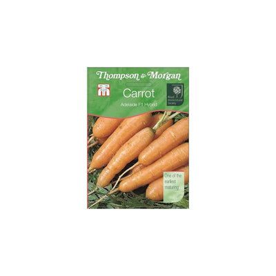 Carrot Adelaide F1 Hybrid Seeds