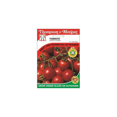 Tomato Gardeners Delight Seeds