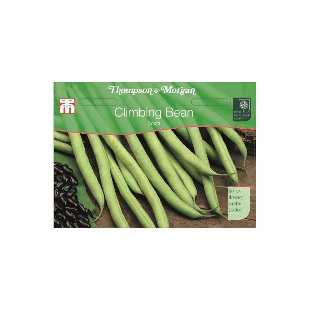 Climbing Bean Cobra Seeds