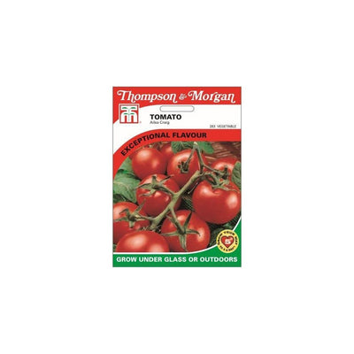 Tomato Ailsa Craig Seeds