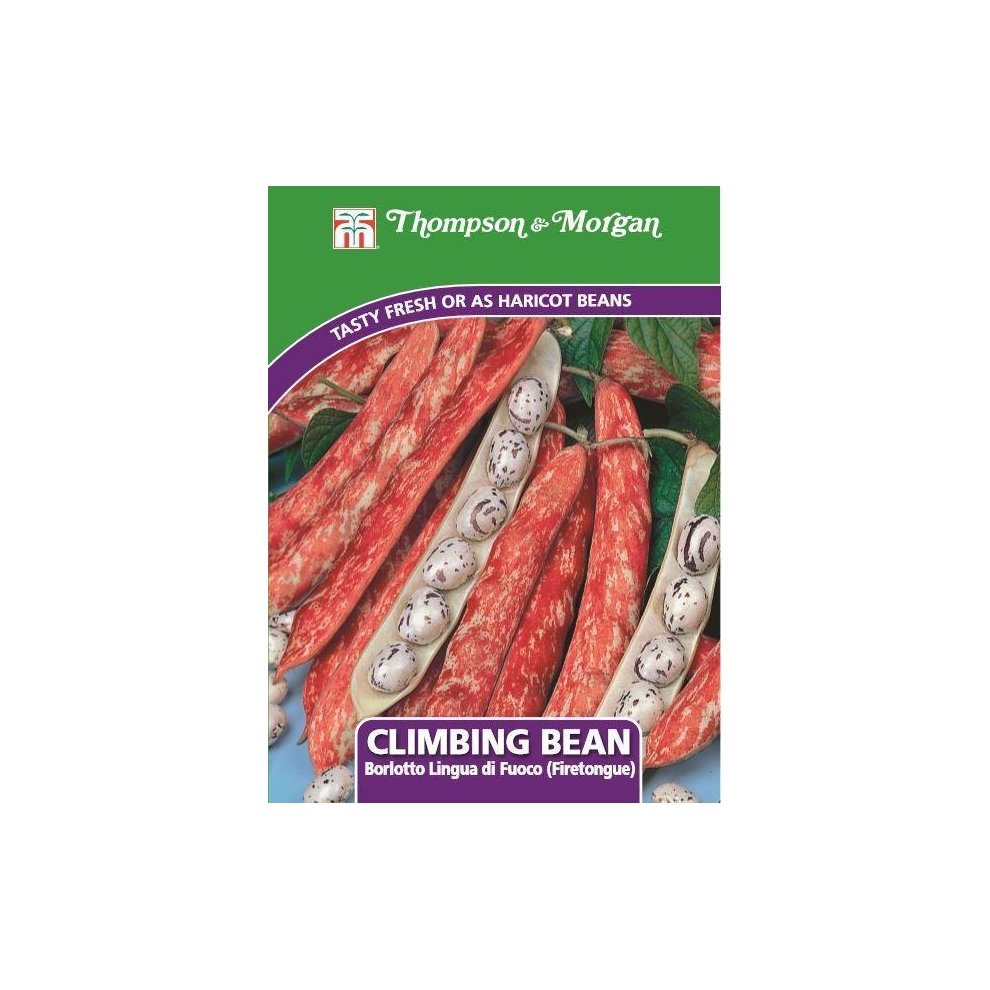Climbing Bean Borlotto Lingua Firetongue Seeds